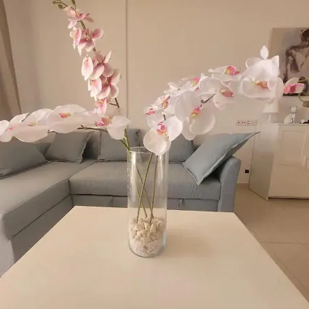 Apartamento Oasis 公寓