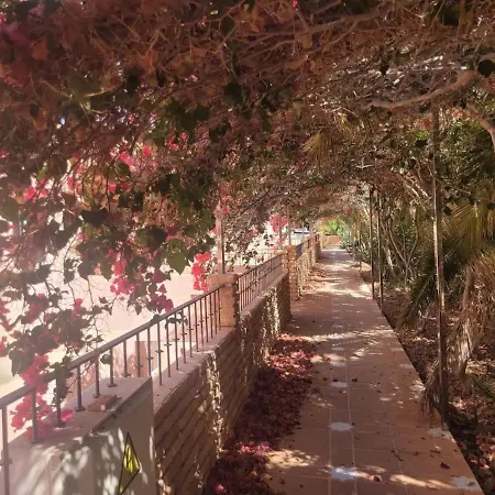 Apartamento Oasis 阿德耶